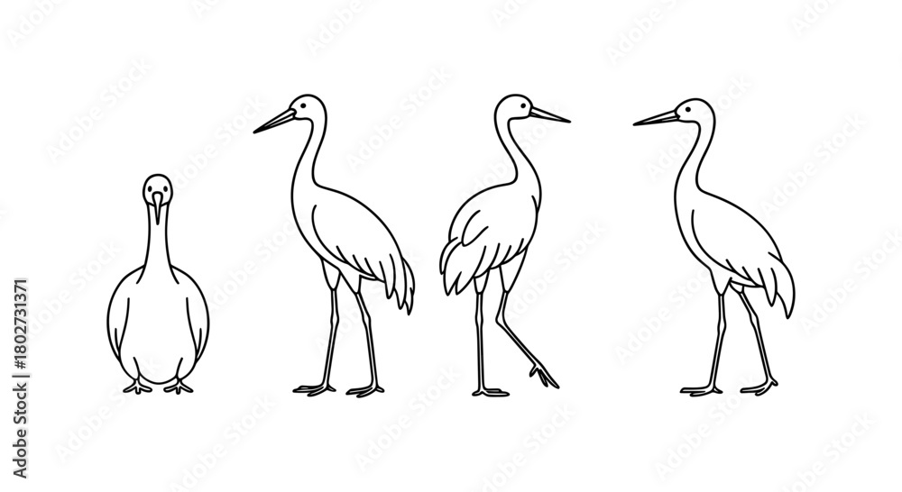 Obraz premium Minimalist crane line art set in various poses on white background