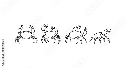 Minimalist outline of crabs in various poses on a white background