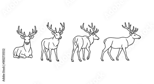 Elegant deer silhouette collection showcasing majestic poses and natural grace