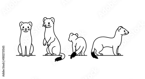 Minimalist black and white sketch of ferrets in various poses