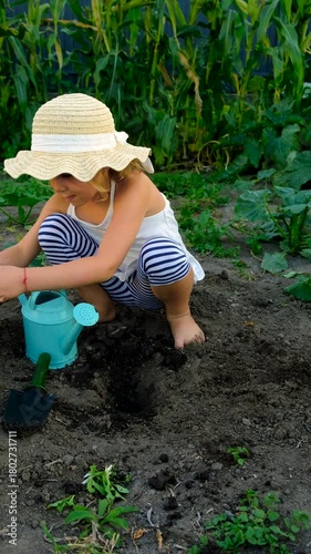 A child plants strawberries in the garden. Selective focus.