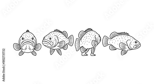 Black and white fish line art set featuring different angles and poses