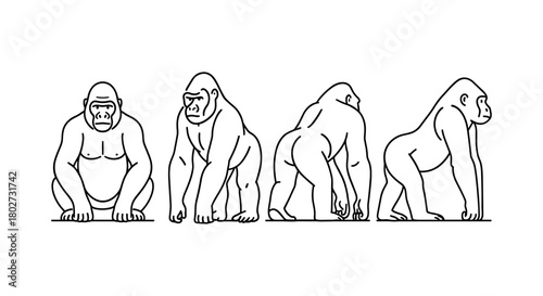 Gorilla outline art in various poses