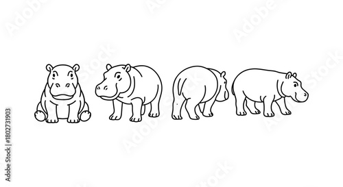 Hippo line art: four different poses of a hippopotamus on white background