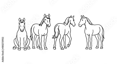 Elegant linear horse outlines in different poses on white background