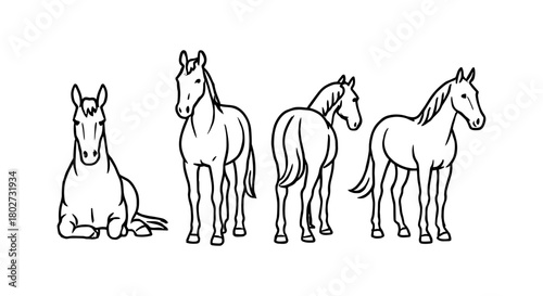 Elegant horse silhouettes showcasing graceful poses in linear art style