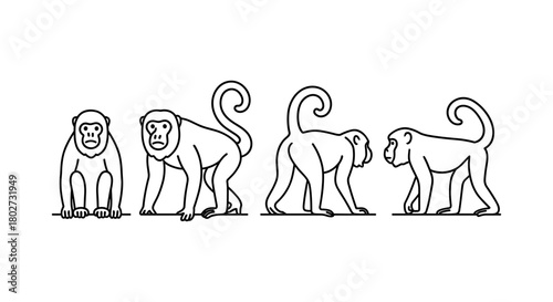 Linear monkey outline set: different poses of monkeys