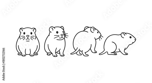 Cute hamster outline in multiple poses for pet lovers
