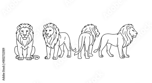 Linear lion design featuring multiple poses in monochrome style