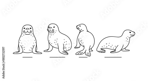 Linear seal illustrations: diverse poses and expressions