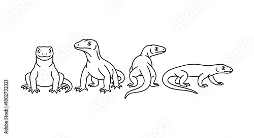 Komodo dragon collection: four line art poses