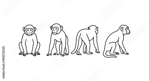 Set of four monkey poses in outline style on white background