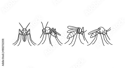 Linear outline of mosquitoes in various poses on a white background