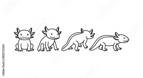 Cute axolotl sketches: playful amphibian outlines in minimalist style