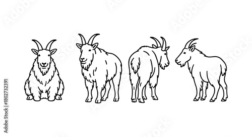 Mountain goat outline: four angles of majestic wildlife in line art
