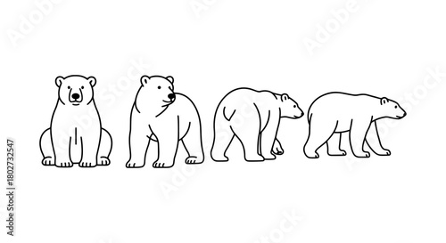 Linear polar bear poses: simple black and white animal designs