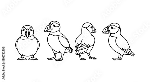 Puffin outline set: adorable bird line art designs in minimalist style