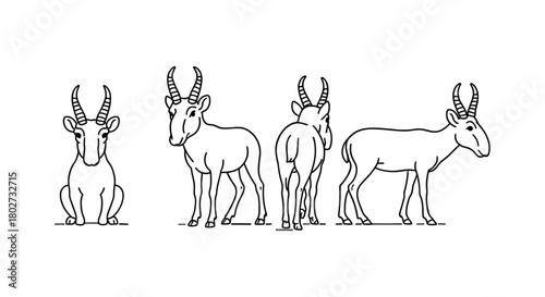 Antelope in multiple poses: front, back and side views in linear design