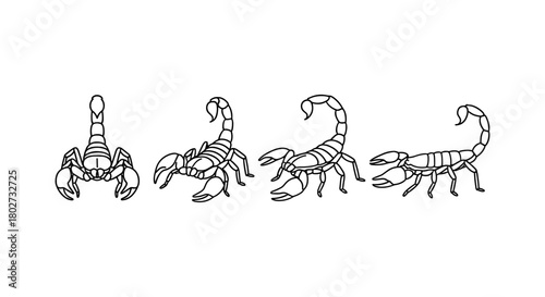Scorpion outline collection: detailed black and white side and top views