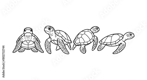 Outline turtles in various poses: black and white sea life art