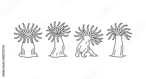 Linear sea anemones set on white background for marine and ocean designs