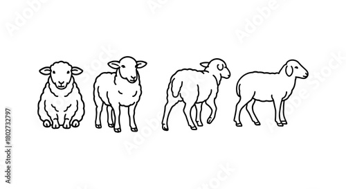 Black and white linear sheep illustrations in different poses
