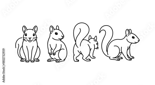 Charming outline of squirrels in various poses for design projects