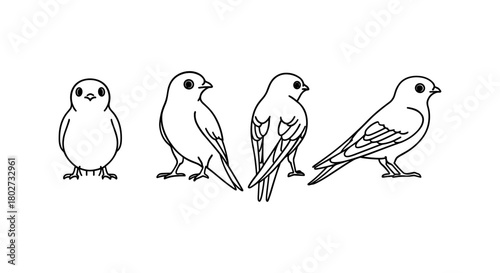 Linear black and white sparrow silhouettes in various poses on white background