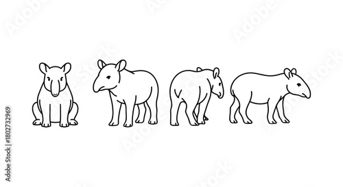 Hand drawn tapir character design in multiple views