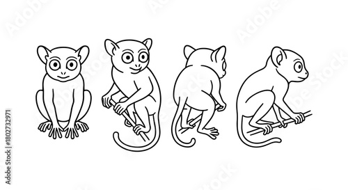 Cute monkey line art in multiple poses
