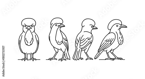 Linear line art of exotic birds in various poses and angles