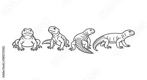 Monochrome line art of iguanas in various poses