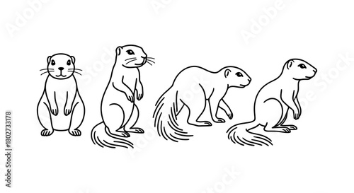 Prairie dog line art in various poses on white background