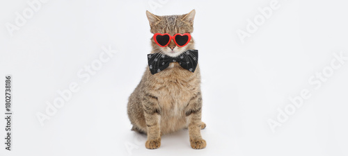 Tabby cat wearing red heart-shaped glasses and bow tie on white background with copy space, Valentine greeting card, playful pet-lifestyle concept