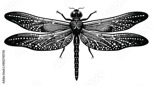 Vector illustration of a dragonfly with detailed wings and a slender body, set against a simple background..eps