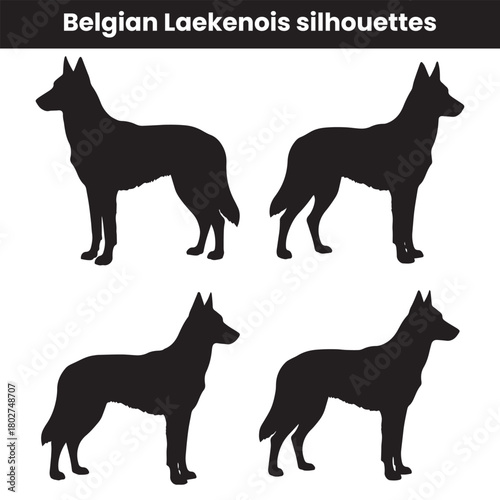 Belgian Laekenois silhouettes