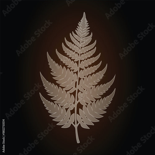 Stylized Fern Frond Outline on Dark glass morphism Background illustration