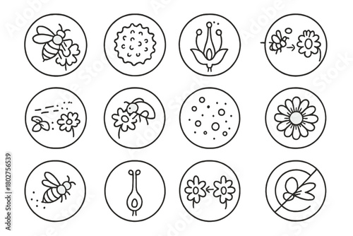 Pollination Icons. Line style icons of pollination in round shape: bee on flower, pollen grain, stamen and pistil, pollination