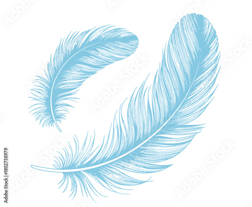 Delicate light blue feathers drifting gently on a white background, symbolizing lightness and freedom.