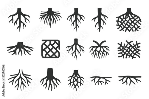 Root Network Icons. Solid style icons of Root Networks: branching system, fibrous roots, taproot, lateral root, spreading mat,