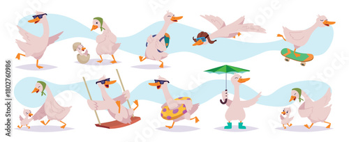Duck. Cartoon cute goose in different posees exact vector funny birds illustration