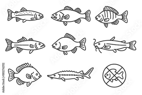 Freshwater Fishing Icons. Line style icons of Freshwater fishing: trout, bass, perch, pike, carp, catfish, bluegill, sturgeon, No