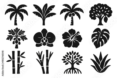 Tropical Flora Icons. Solid style icons of Tropical flora: palm tree, banana plant, coconut tree, mango tree, papaya plant, orchid