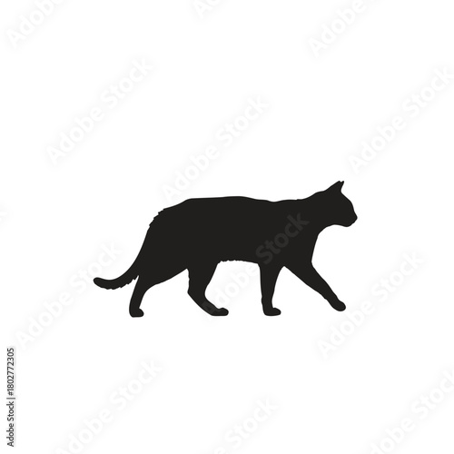 A silhouette of a cat walking on a white background with its tail up and ears perked and alert looking