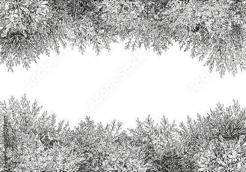 Black and white foliage border framing a central white space