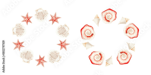 Watercolor seashells of different shapes and sizes arranged in a round frame. nautical decoration, soft pastel colors, marine details, isolated on white background, vector, for greeting cards 