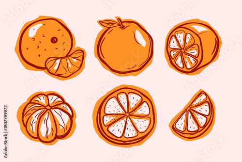Hand drawn tangerine vector set including whole tangerines, slices and peel. Perfect for menu, branding, packaging, and design.