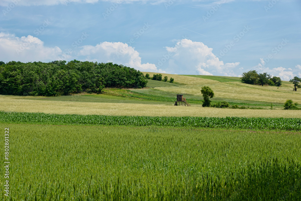 Fototapeta premium Landschaft im Burgenland