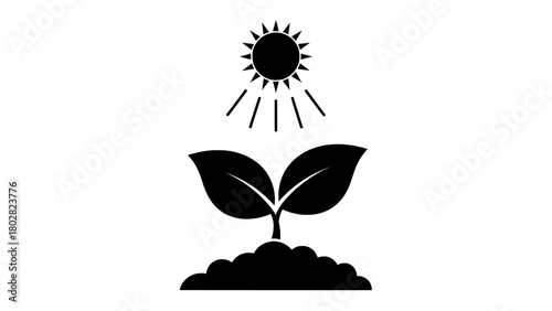 Vector illustration of plant growing with sun icon isolated on transparent background 