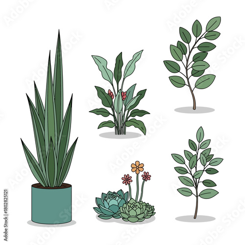Collection of various green plants and foliage.
